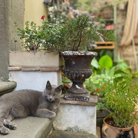 La Magione Dei Todaro Borgo a Buggiano Luaran gambar