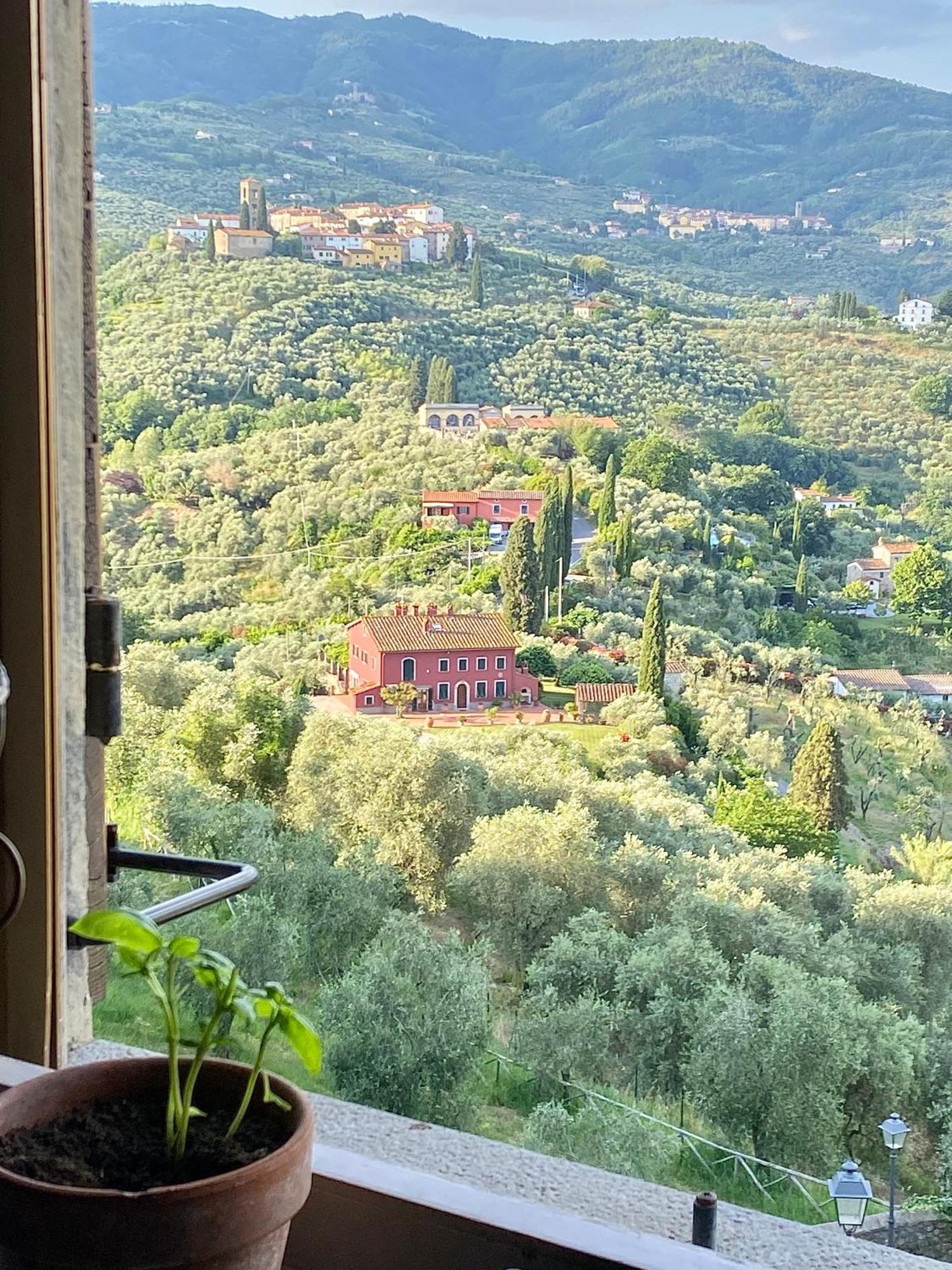 La Magione Dei Todaro Borgo a Buggiano Luaran gambar